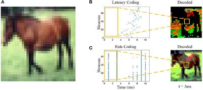 Spiking neural network with working memory can integrate and rectify spatiotemporal features